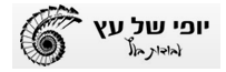יופי של עץ - עבודות בעץ