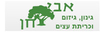 אבי חן