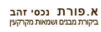 אביגדור פורת-ביקורת מבנים ושמאות